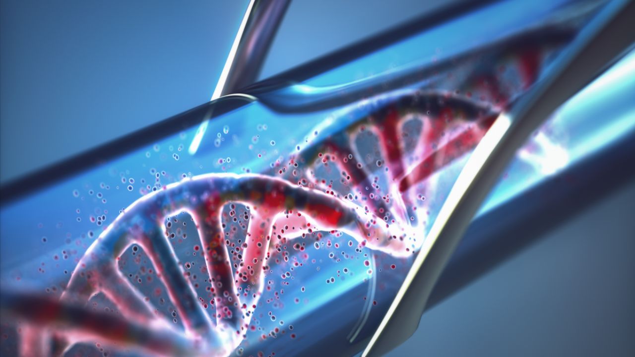 An E. coli Enzyme Reads an Eight-Letter DNA Alphabet, but Only in a Test Tube