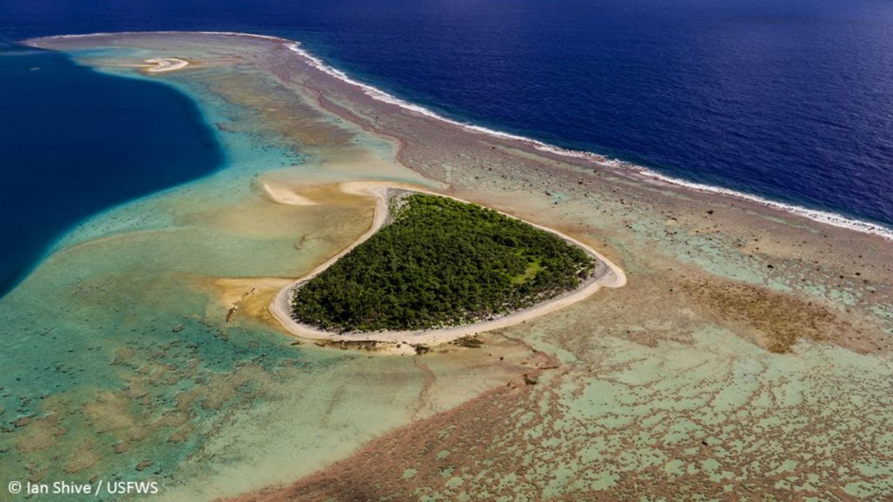 Pacific Council Backs Large Longliner Access Near Rose Atoll as NOAA Rewrites Fishing Priorities