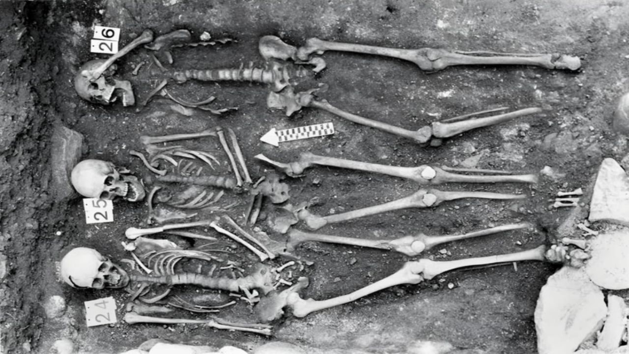 Plague Split into Three New Branches in the Late 1400s, and Researchers Suggest Drought May Have Played a Role