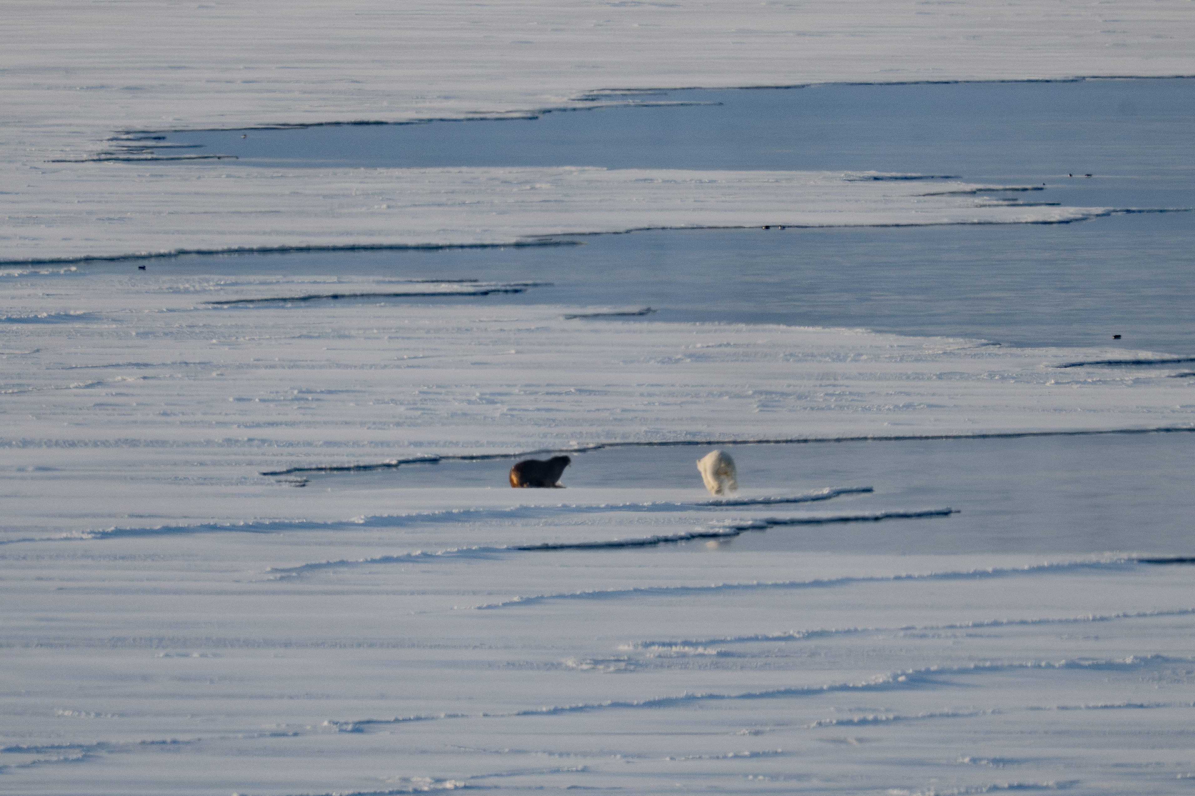 Why a 'Typical' Arctic Sea Ice Minimum Would Have Been a Record Low Just Two Decades Ago