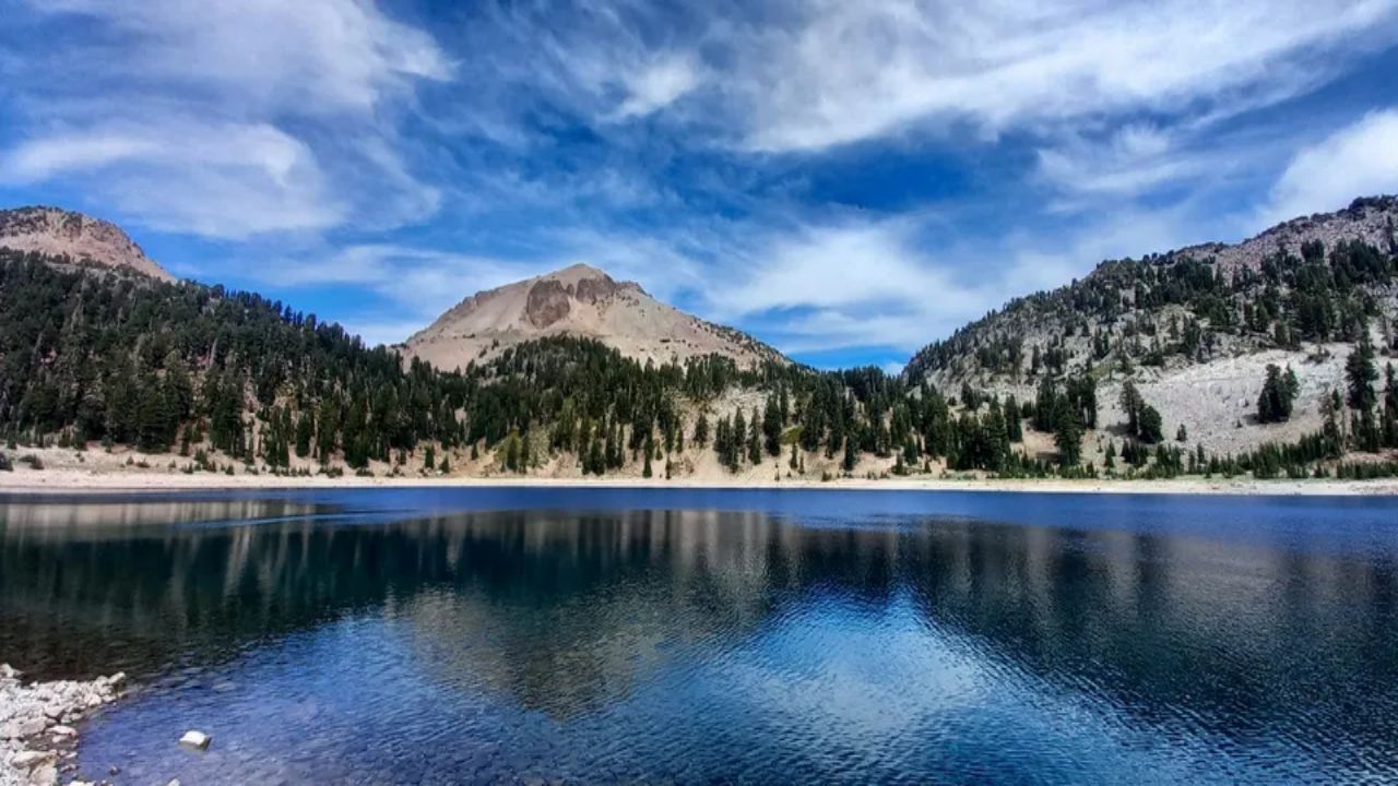 Fire Amoeba from Lassen Volcanic National Park Reproduces at 145°F, a New Heat Record for Complex Life