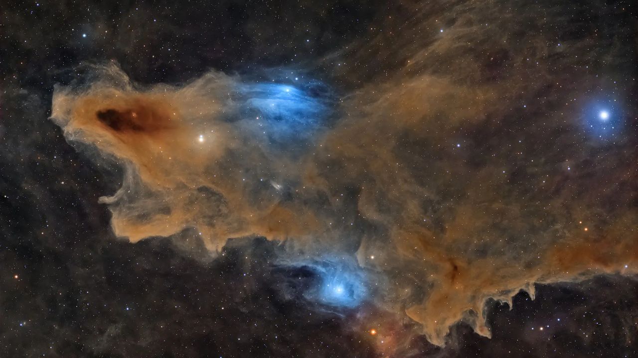 From a Space Shark to a Venusian Pearl, These Are the Winners of Astronomy Photographer of the Year 2026