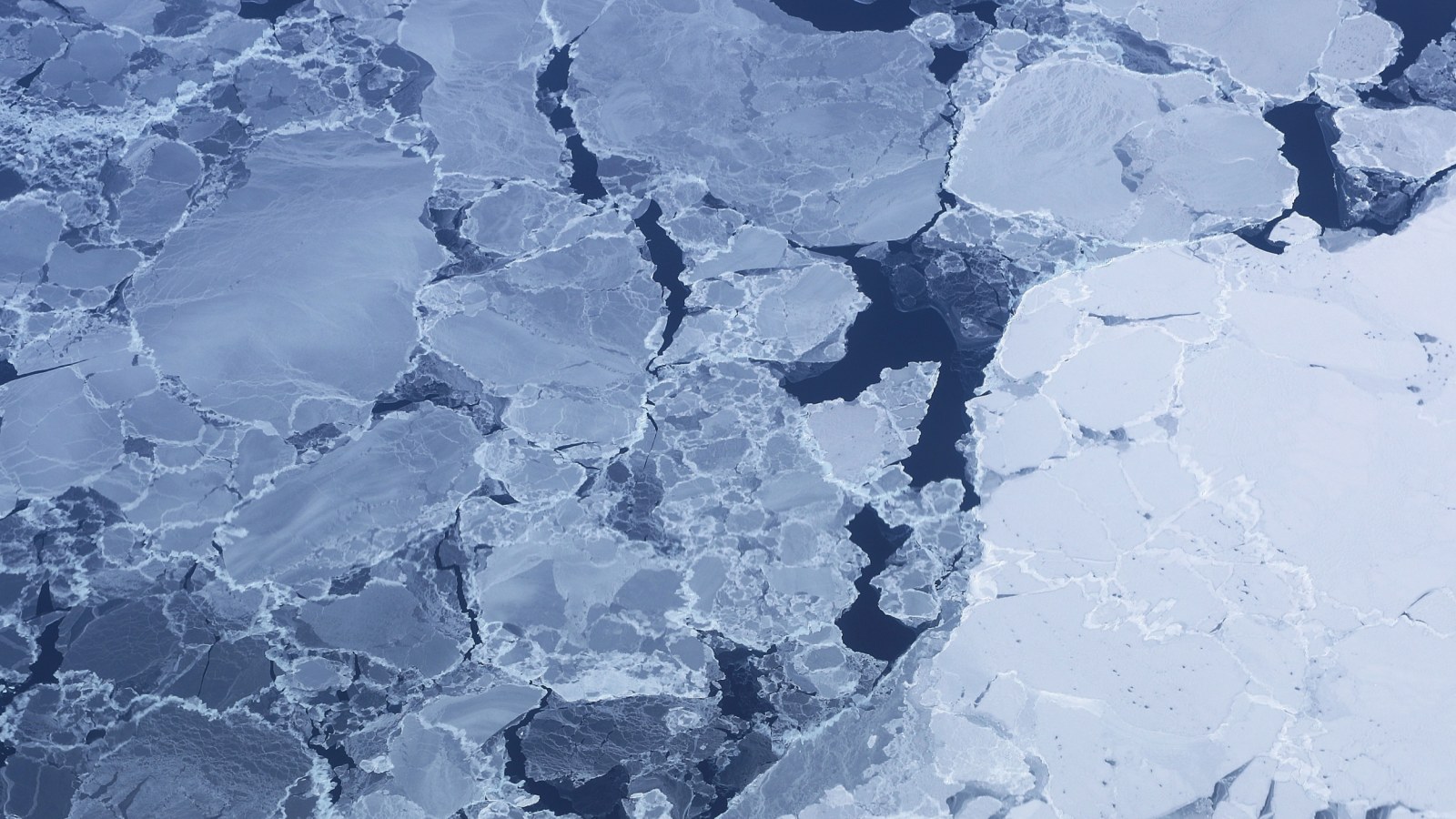 Arctic Sea Ice Ties for 10th-Lowest Summer Minimum as Antarctic Ice Likely Peaks at Third-Lowest