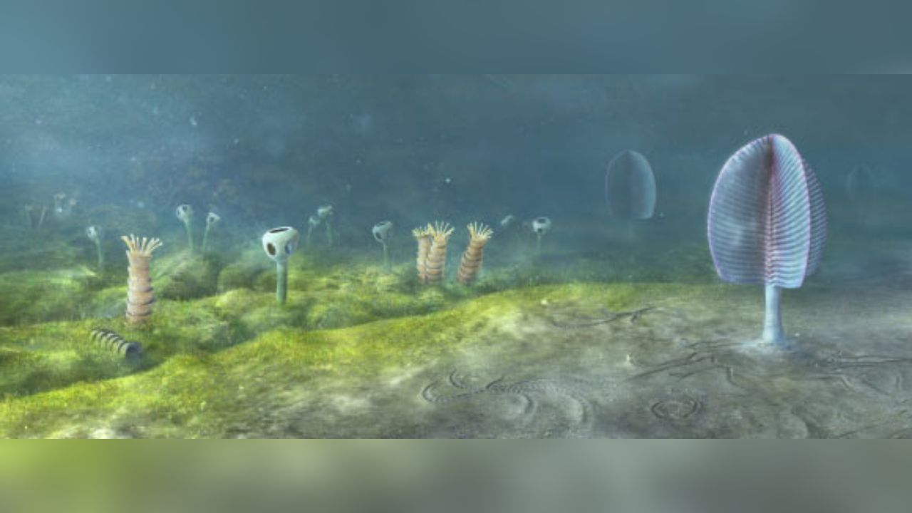 The First Animals May Have Evolved Up to 200 Million Years Before Their Oldest Known Fossils, Study Suggests