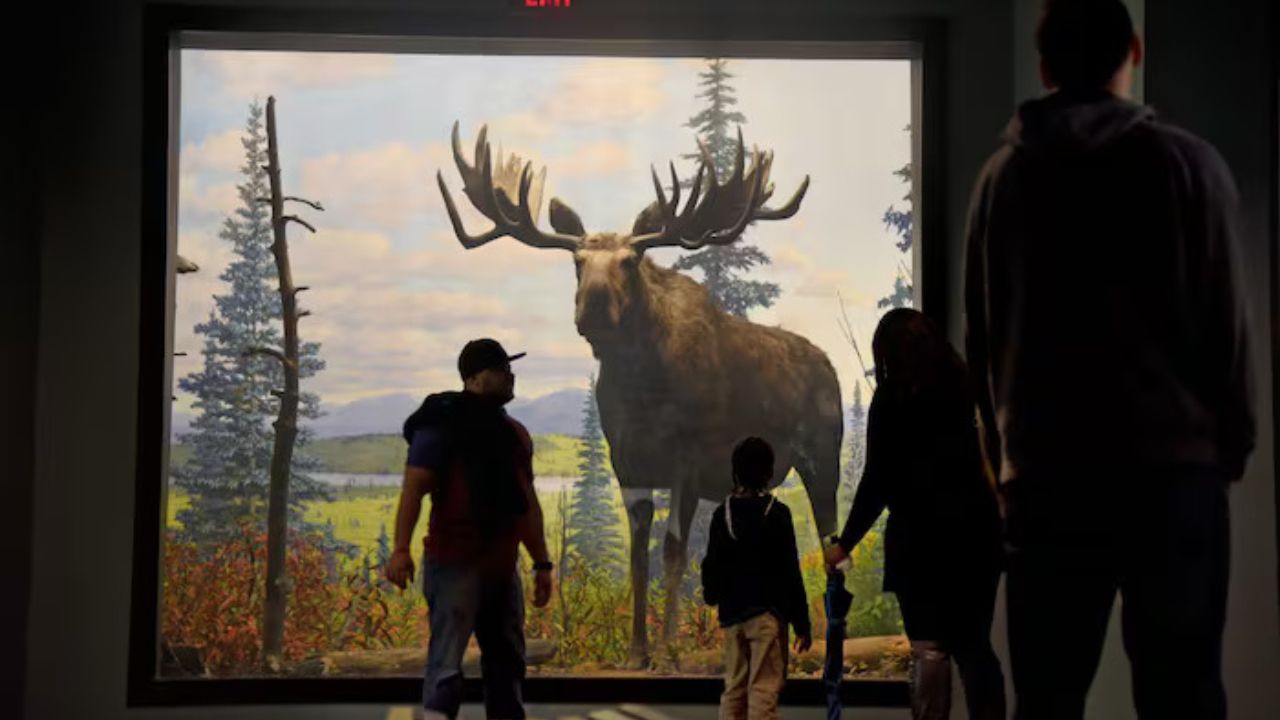 Philadelphia's Academy of Natural Sciences Closes Its Museum After Nearly 200 Years as Fears Grow for 19 Million Specimens