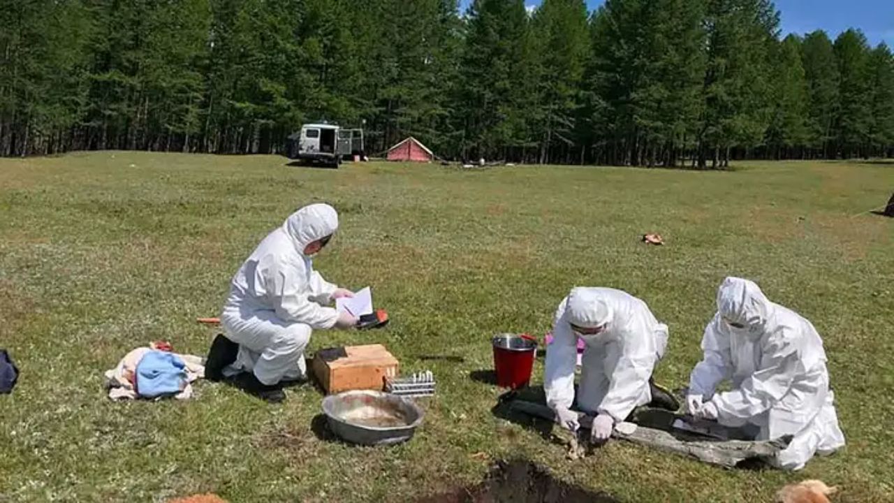 Russia Tells WHO No Plague Was Found After Siberian Lab Worker's Death, but the Cause Remains Unconfirmed