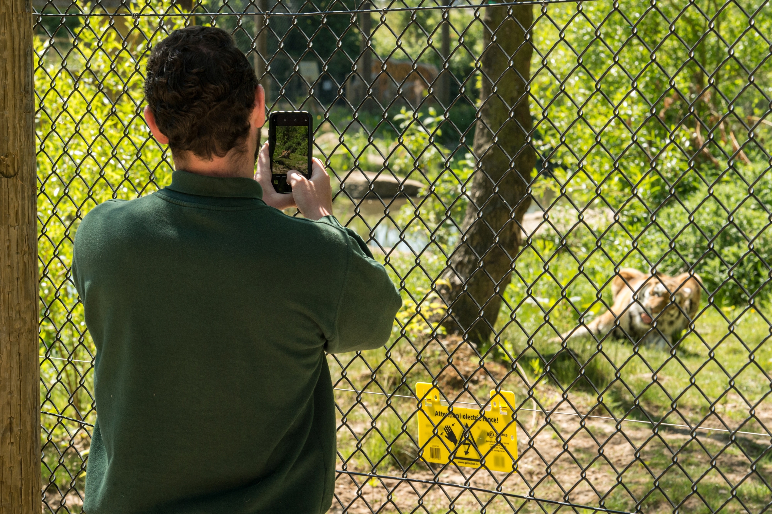 Man Dies After Entering Amur Tiger Enclosure at England's Yorkshire Wildlife Park as Police Urge Public Not to Share Videos