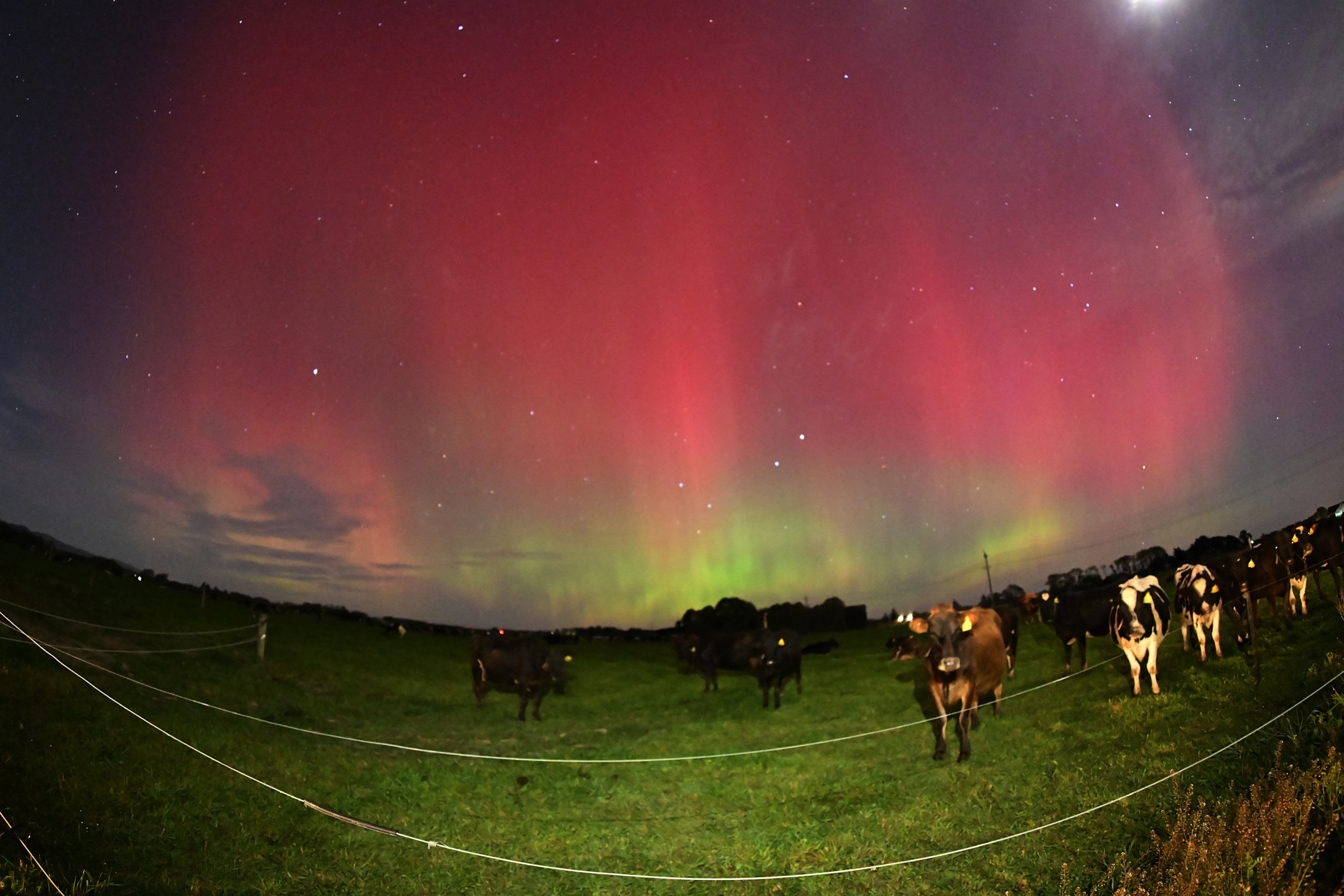 A Suspected Cannibal CME Pushed Saturday's Geomagnetic Storm to G3, Beyond NOAA's G2 Watch, as Auroras Lit Up the UK and Northern Europe