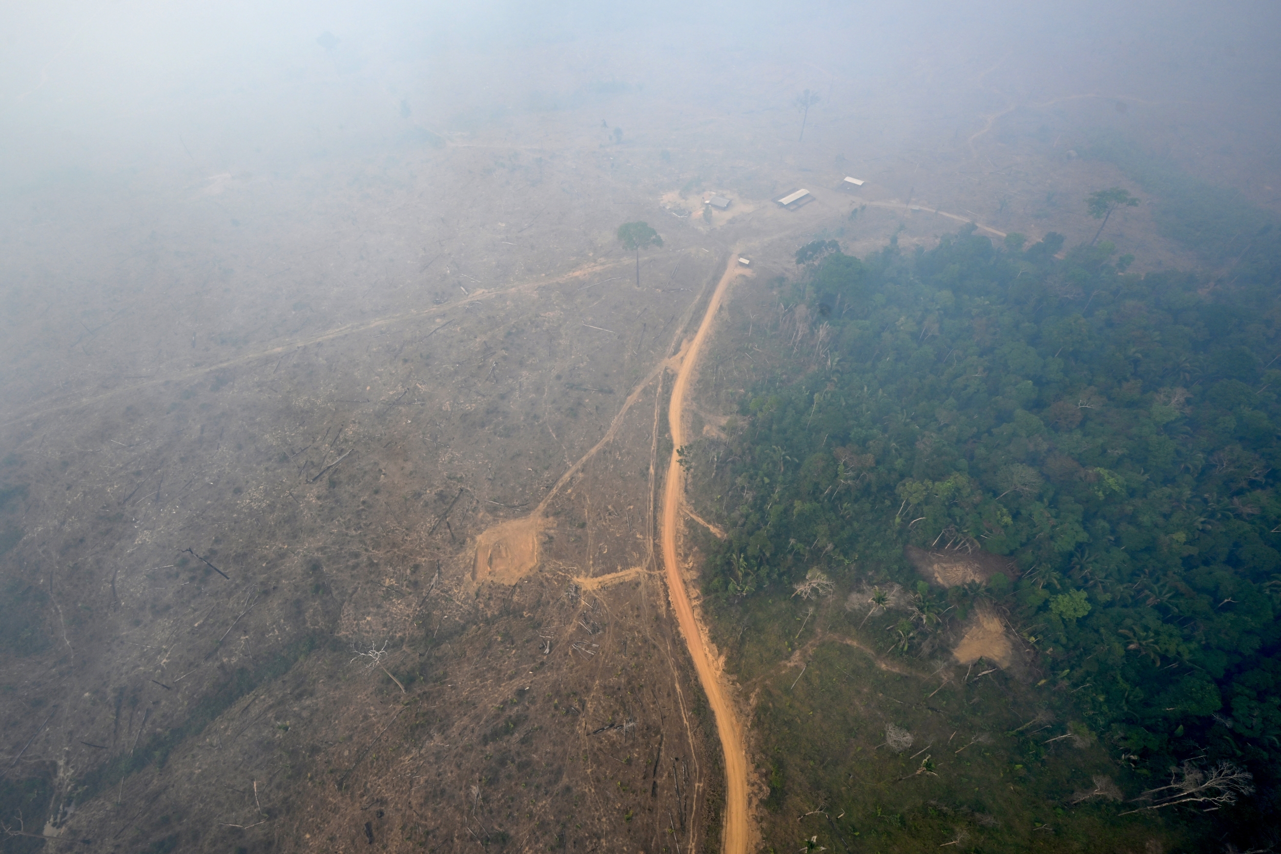 Amazon Fires Choke Manaus as a NASA Scientist Calls the Rainforest the Second Domino in an El Niño Fire Chain