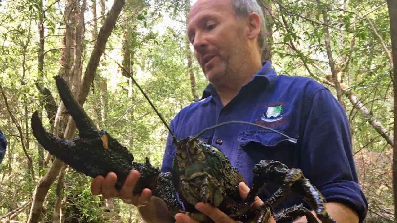 A Bragging Contest Over Crawzilla Led Biologists to North America's Biggest Crayfish and a Size Limit No One Can Explain