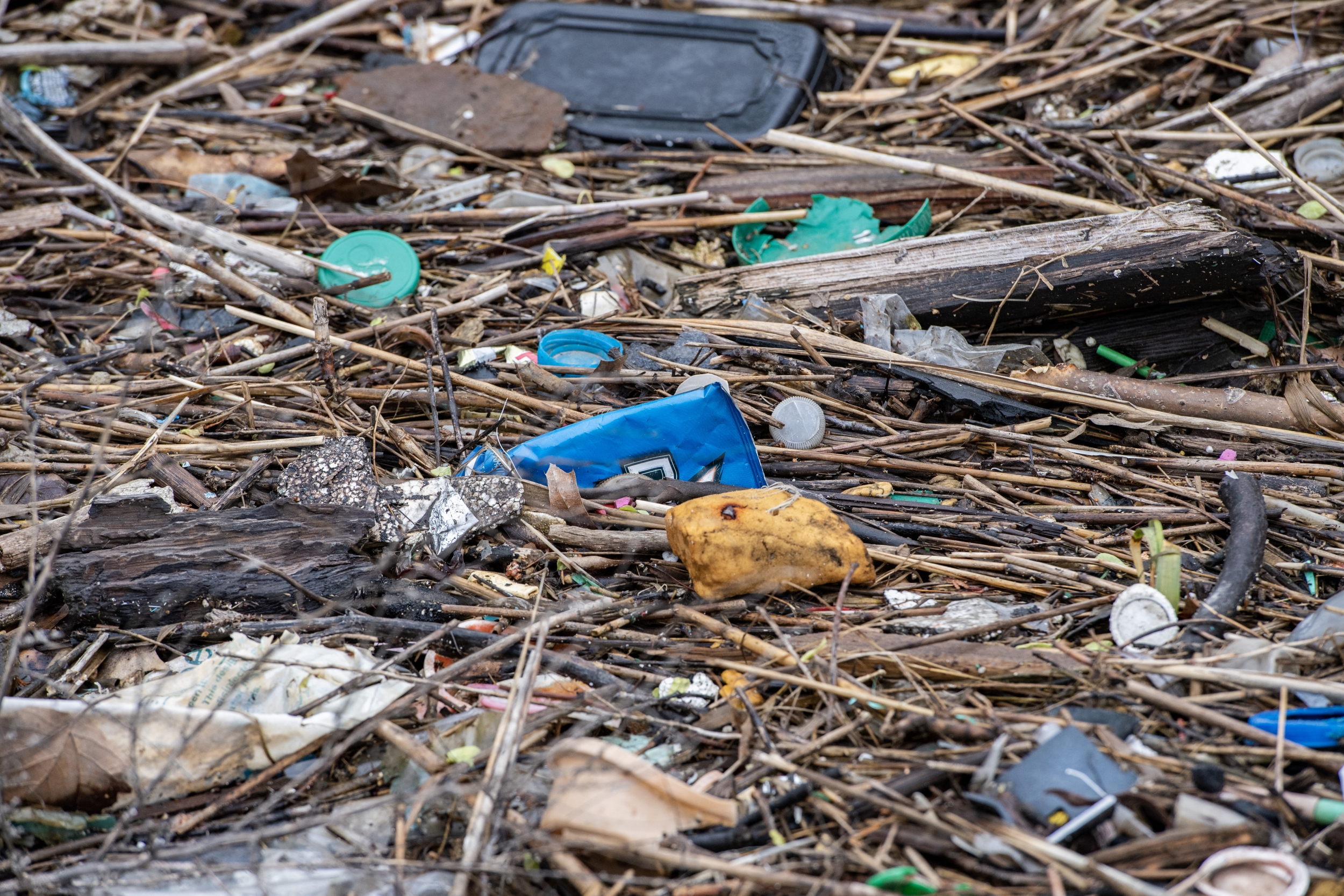 Soil Bacteria's 'Pac-Man' Enzyme Broke Down Bioplastics in About a Year, While Conventional Plastic Barely Changed