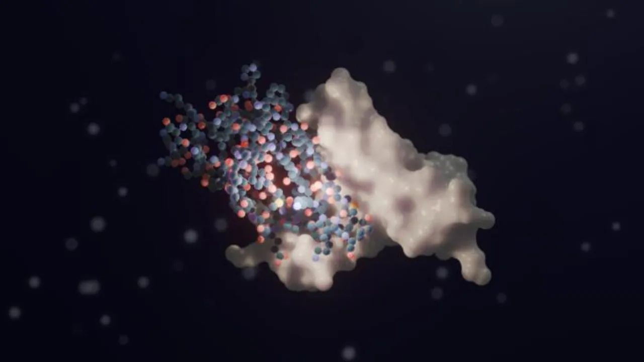Engineered Wheat Immune Receptors Recognized Two Blast Fungus Proteins in Early Lab Tests