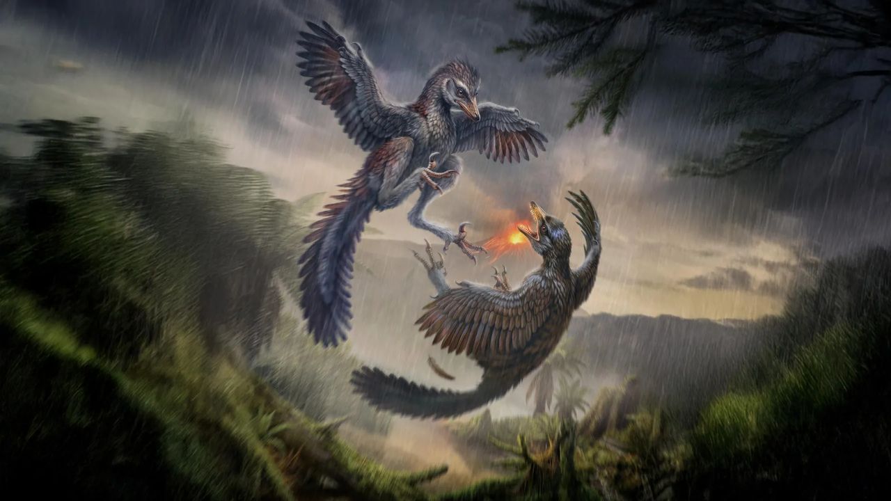 A Bird as Old as Archaeopteryx Had Already Given Up Flight and Carried ...