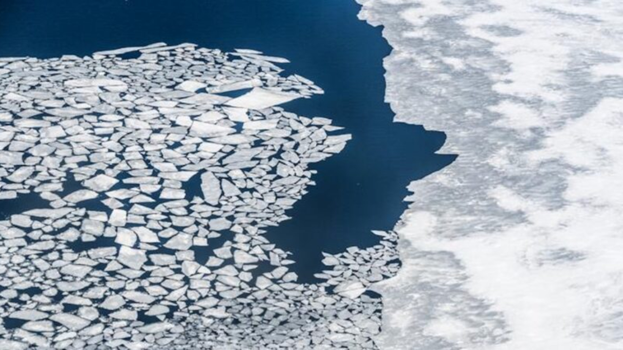 Algae Fossils From a Warmer Arctic 6,000 Years Ago Point to Steeper Winter Sea Ice Losses Than Models Predicted
