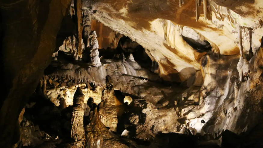 DNA From a 30,000-Year-Old Woman in France's Isturitz Cave Shows Eastern and Western Ice Age Europeans Were in Contact