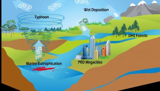 Typhoons and marine eutrophication are probably the missing source of organic nitrogen in ecosystems