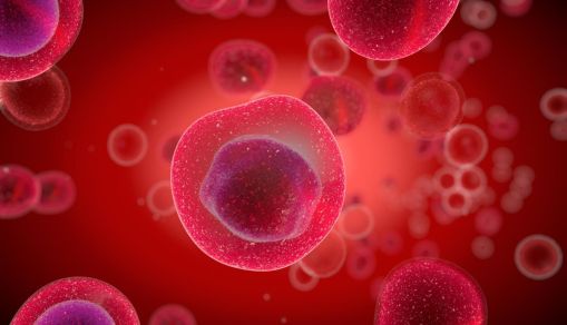 FORMATION & MAINTENANCE OF THE ENDOSOMES ARE GOVERNED BY A NEWLY DISCOVERED CELLULAR MECHANISM.