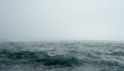 Fog