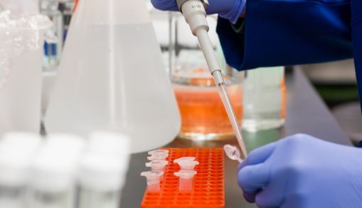 What Is Chromatography Used for in Everyday Life?