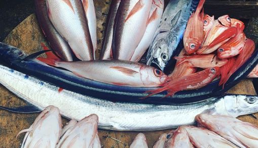 Sellers Lace Food with Toxic Chemicals in Sub-Saharan Africa, Say Food Experts, to Improve Fish and Meat Appearance