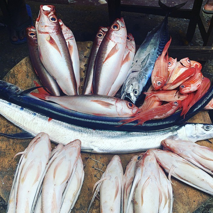 Sellers Lace Food with Toxic Chemicals in Sub-Saharan Africa, Say Food Experts, to Improve Fish and Meat Appearance