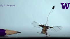 Nature World News - GoPro Beetle Version: An Insect Backpack Robotic Camera and Insect Robot