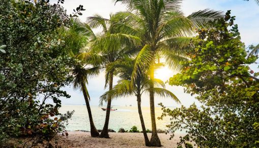 4 Reasons to Spend the Holidays in Florida