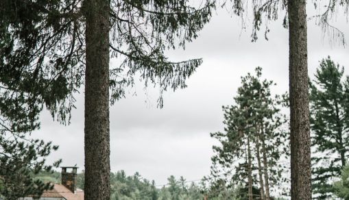 Nature World News - Turning Green: Finnish town Lahti Rewards Residents with Reduced Carbon Emission