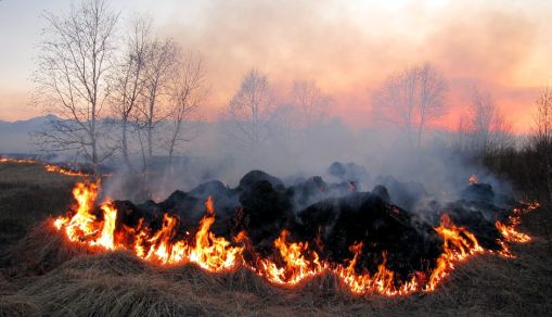 Air Pollution from Stubble Burning Continue to Plague Northern India