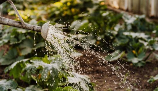 7 Tips for Building Better Commercial Gardens