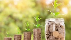The Role of Businesses in Environmental Sustainability