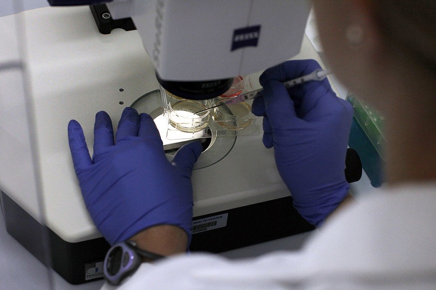 Scientists Continue Stem Cell Research While Courts Debate Ban