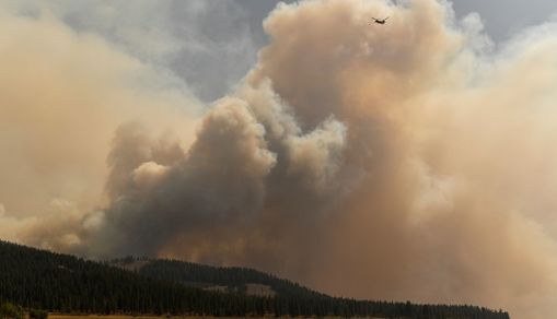 Wildfire smoke