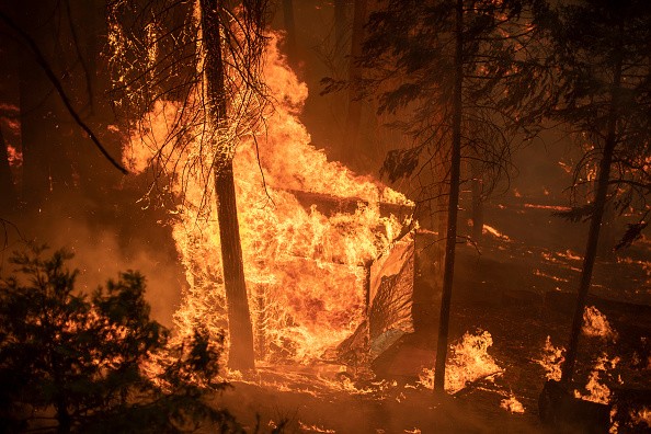 Wildfire