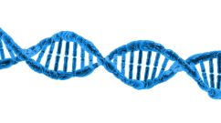 A Better Understanding of DNA Sequencing