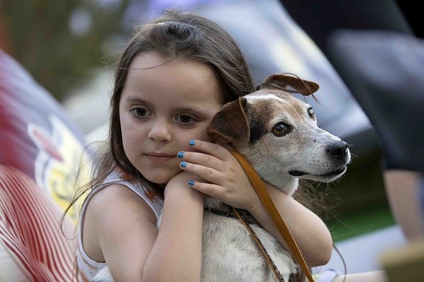 Pet
