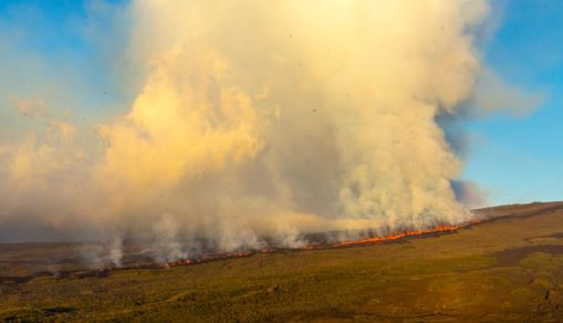 Wolf Volcano Erupts In The Galapagos