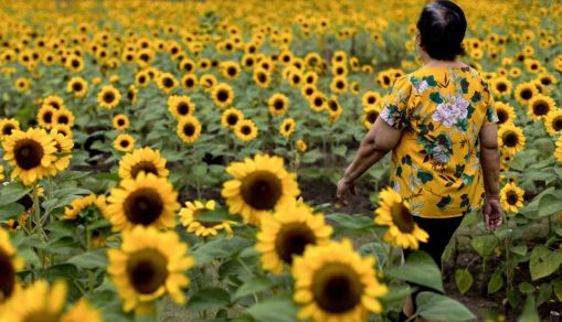 THAILAND-LIFESTYLE-PEOPLE