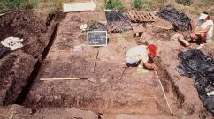 This undated photo provided by the Southern Illinois