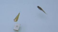 Open-House Day At The FU Center For Robotics And Artificial Intelligence