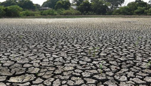 Drought affecting a lake