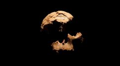 Works at Atapuerca Archeological Site