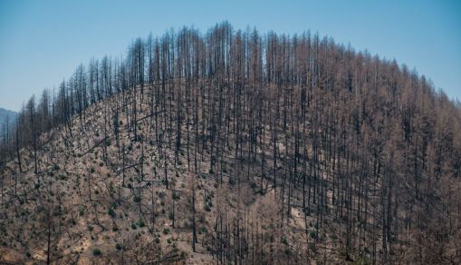 US-CLIMATE-FIRE-AGRICULTURE-WINE