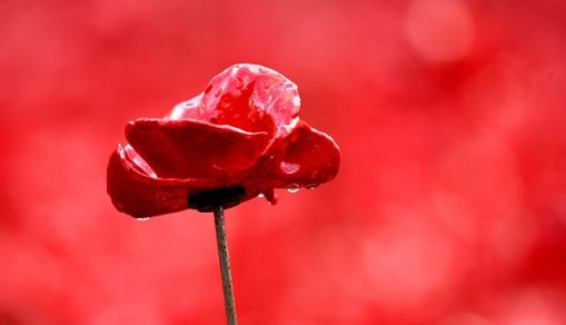 WW1-CENTENARY-BRITAIN