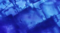 Minuscule Pockets Of Water With Bubbles In Crystals