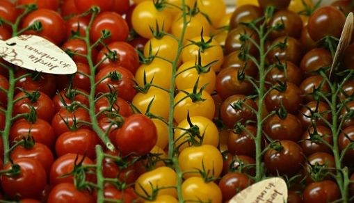 GERMANY-AGRICULTURE-FAIR-FRUIT-LOGISTICA-ECONOMY-INFLATION