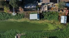 Cyanotoxin Outbreak Due To Dry, Hot Summer Threatens Water Supply In Clear Lake, California