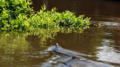 PARAGUAY-RAINS-FLOODS