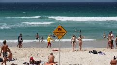 Nutri-Grain IronMan & IronWoman