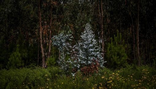 PORTUGAL-WILFIRE-PEDROGAO-ANNIVERSARY